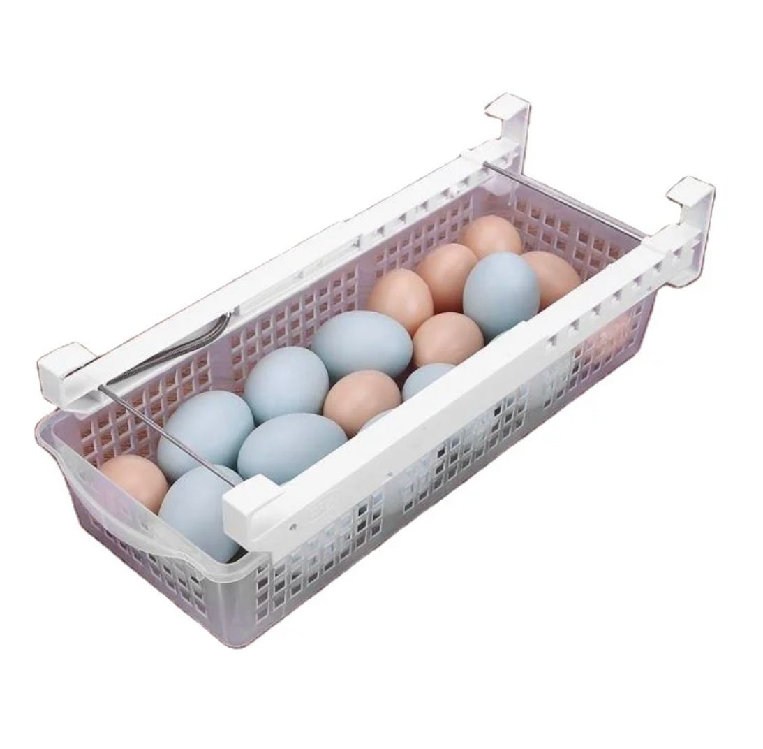 Cajón Organizador De Huevos verdura Para Refrigerador Libre