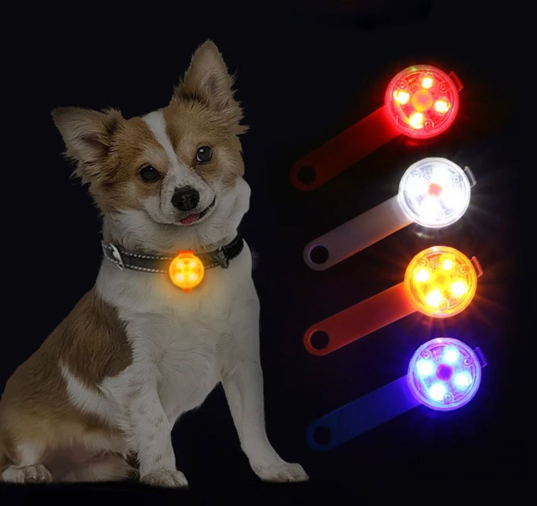 Collar Con Luz Led Carga Usb Perros Gatos