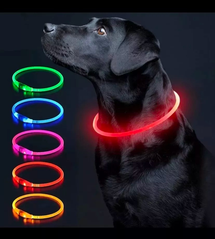 Collar Para Perro Luminoso Luz Led Carga Usb Talla M 50cm