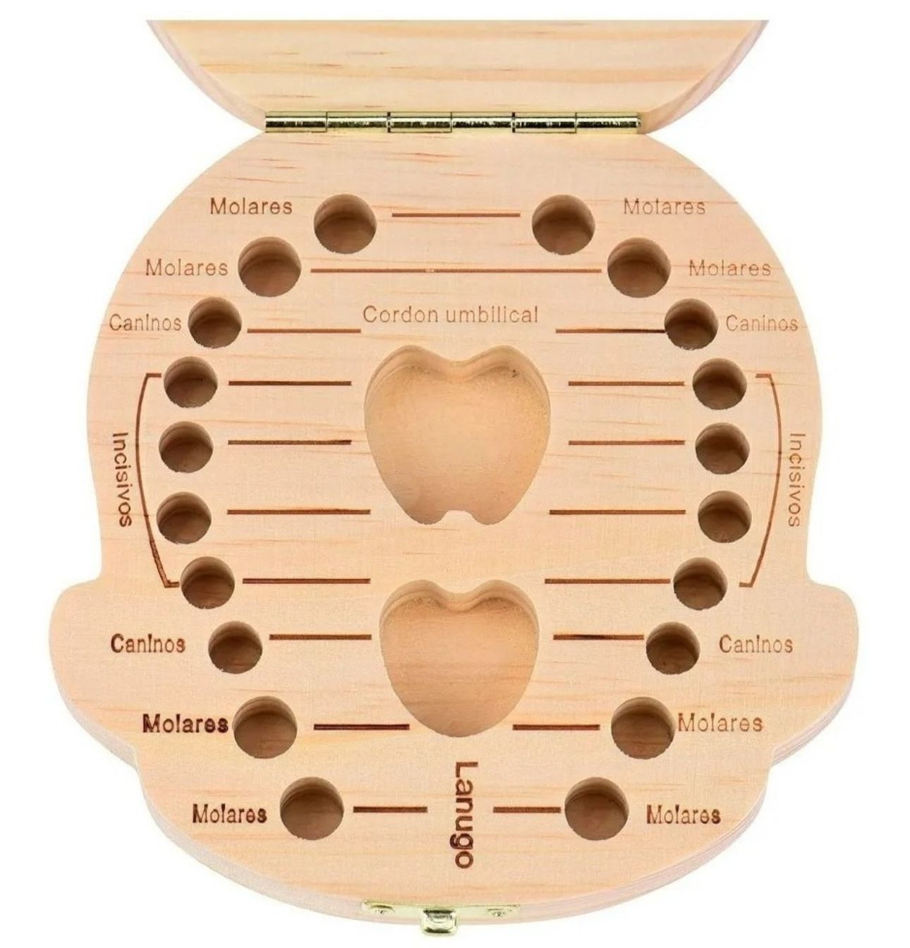 Cajita De Madera Para Guardar Dientes De Leche Niños
