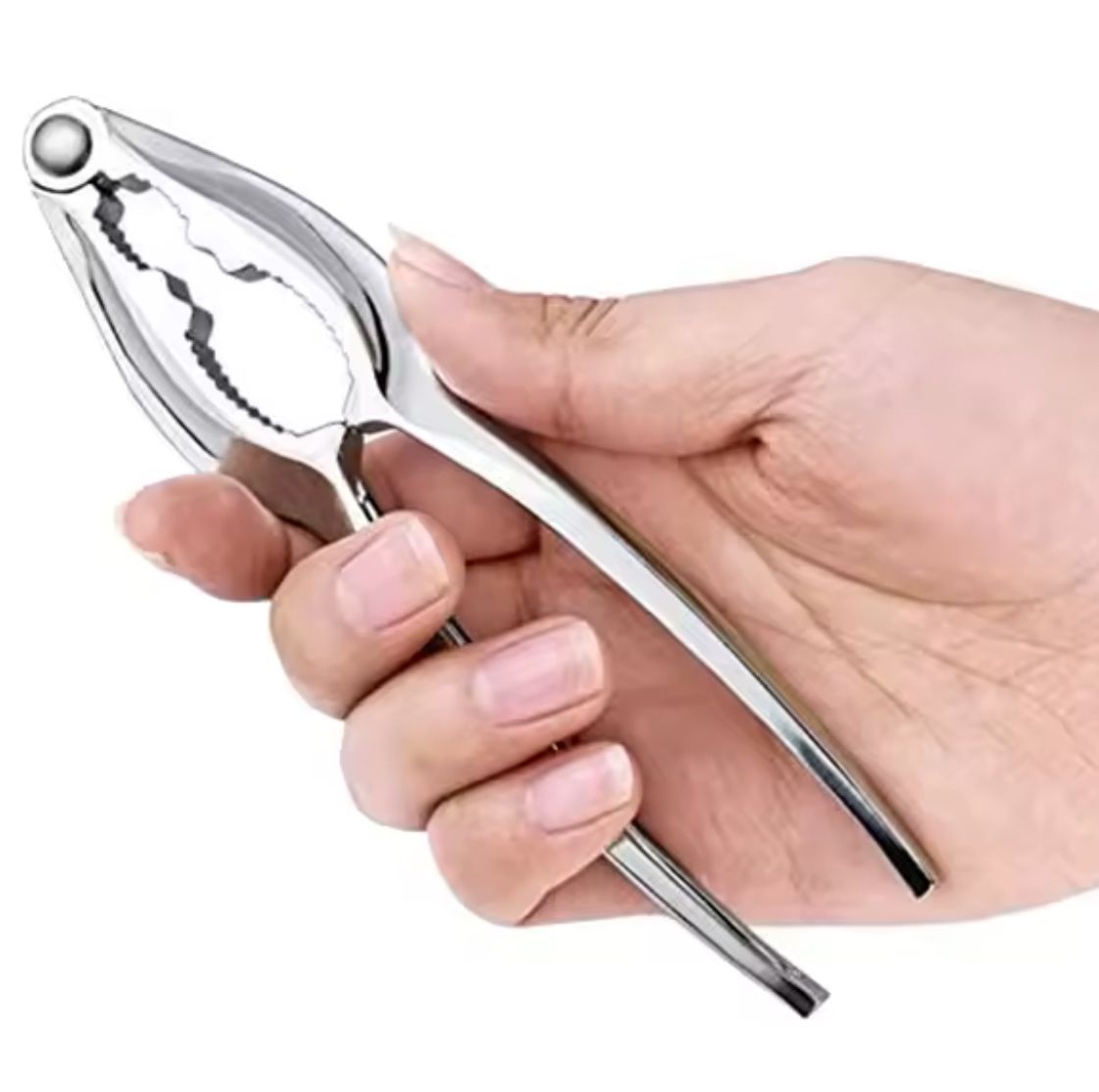 Pinza Para Langosta Prensador De Nuez Herramientas De Cocina