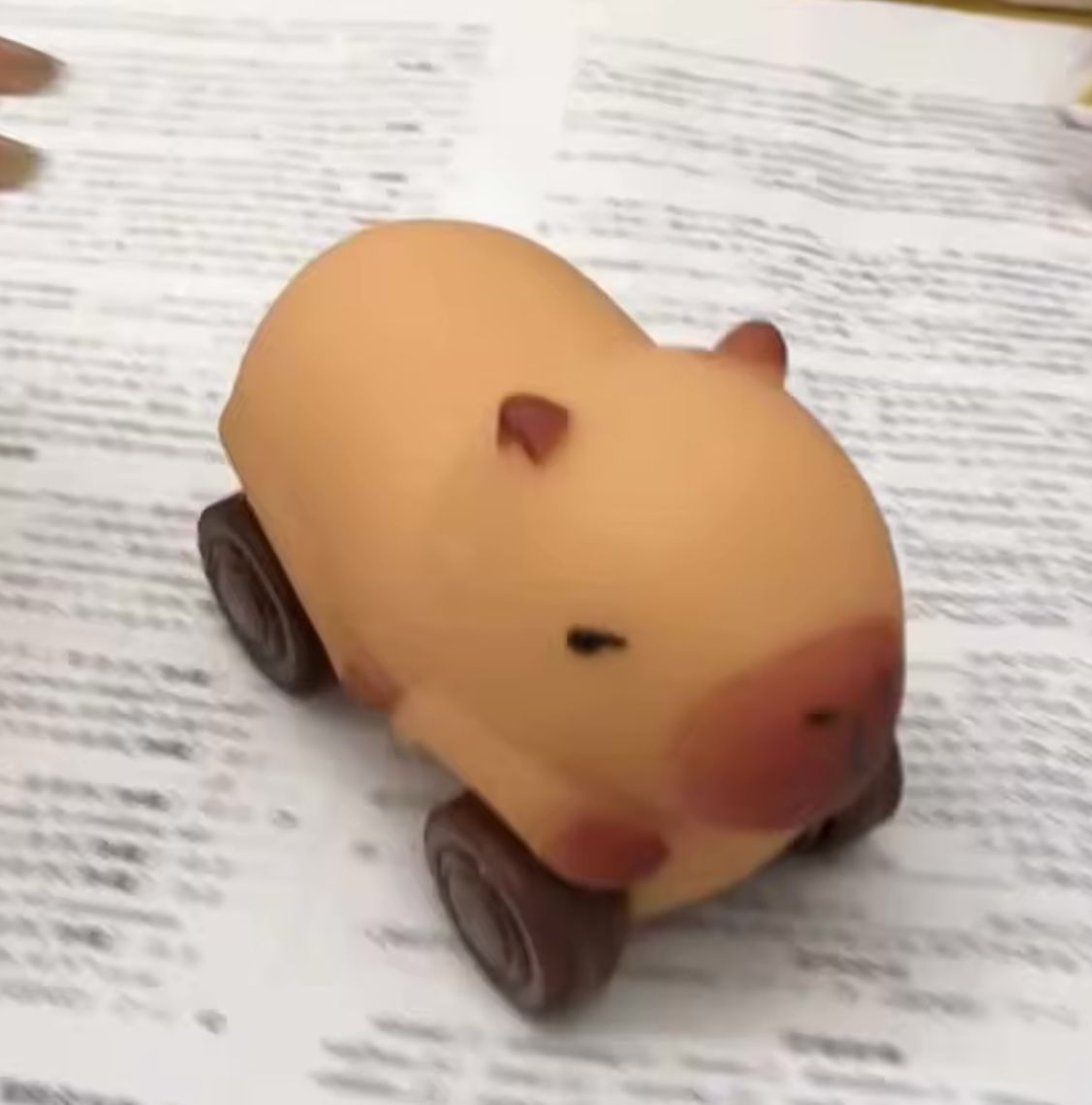 Capibara Carrito  Squishy Juguete Elástico Flexible