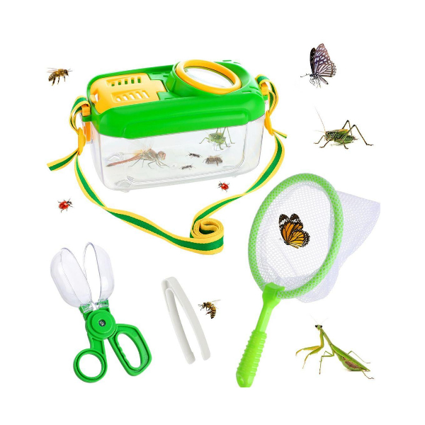 Set De Observación De Insectos Campamento