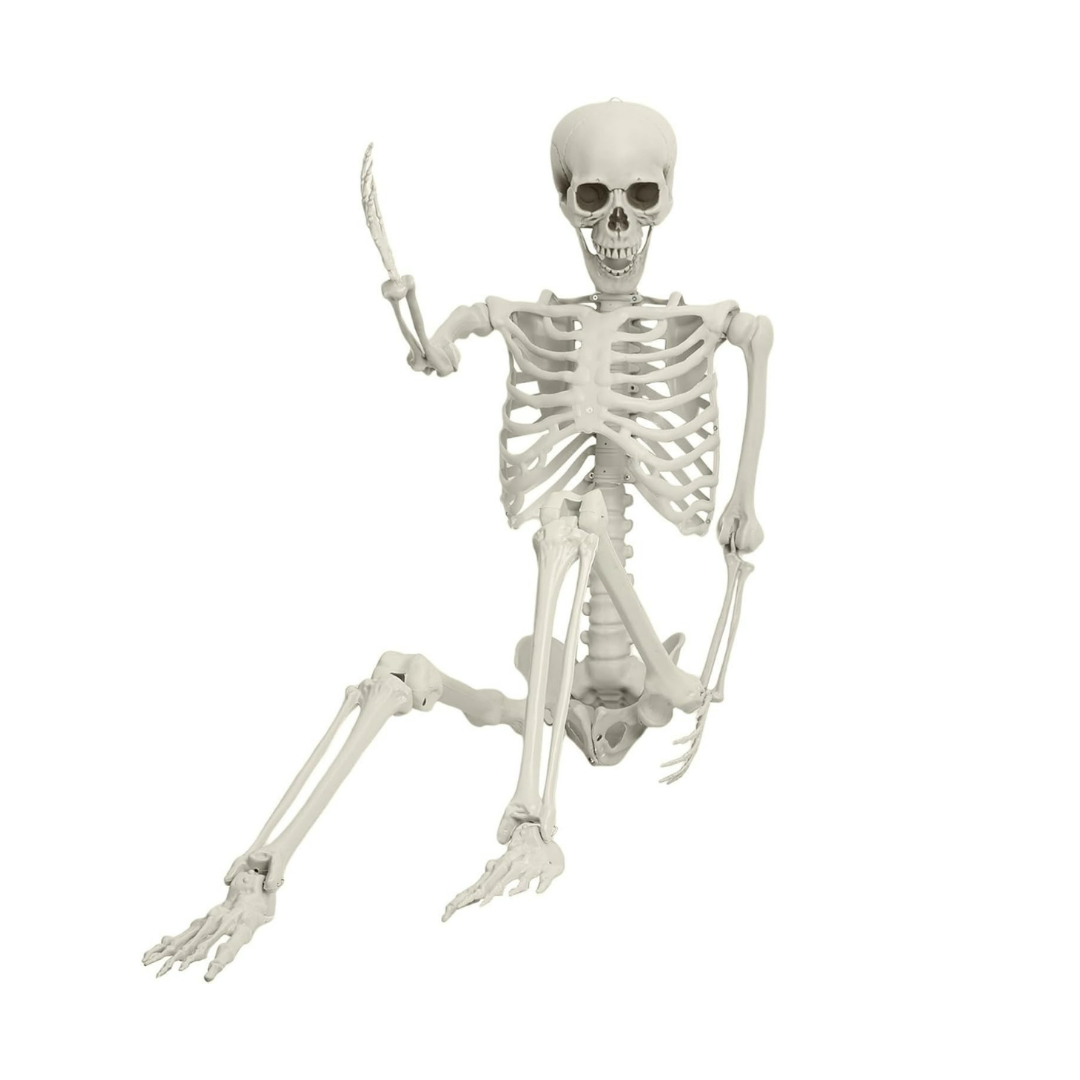 Esqueleto Humano Articulado De 40 Cm