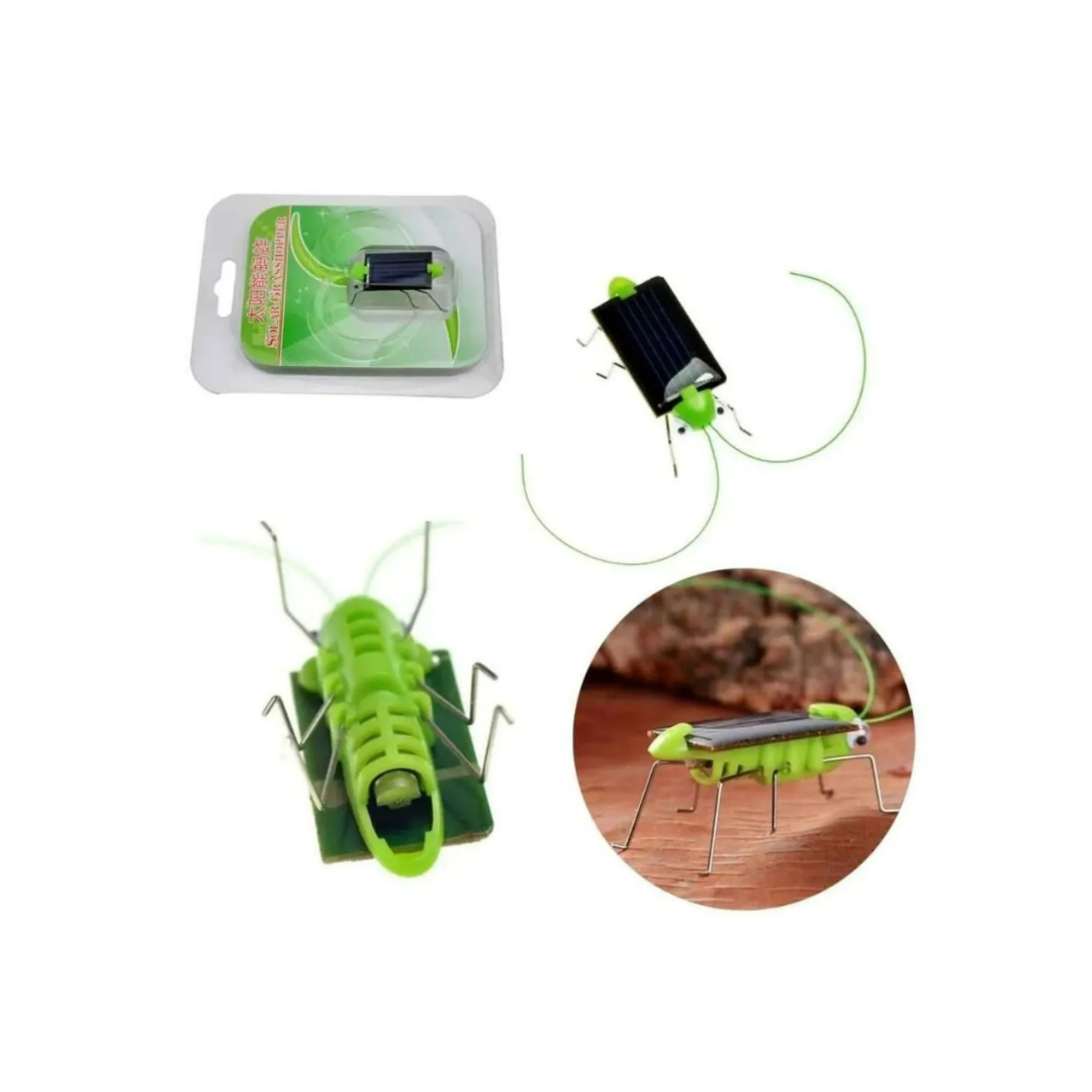 Saltamonte Solar Decorativos Mini Jardin