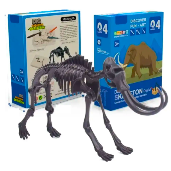 Juego De Excavación Con Herramientas Juguete Educativo