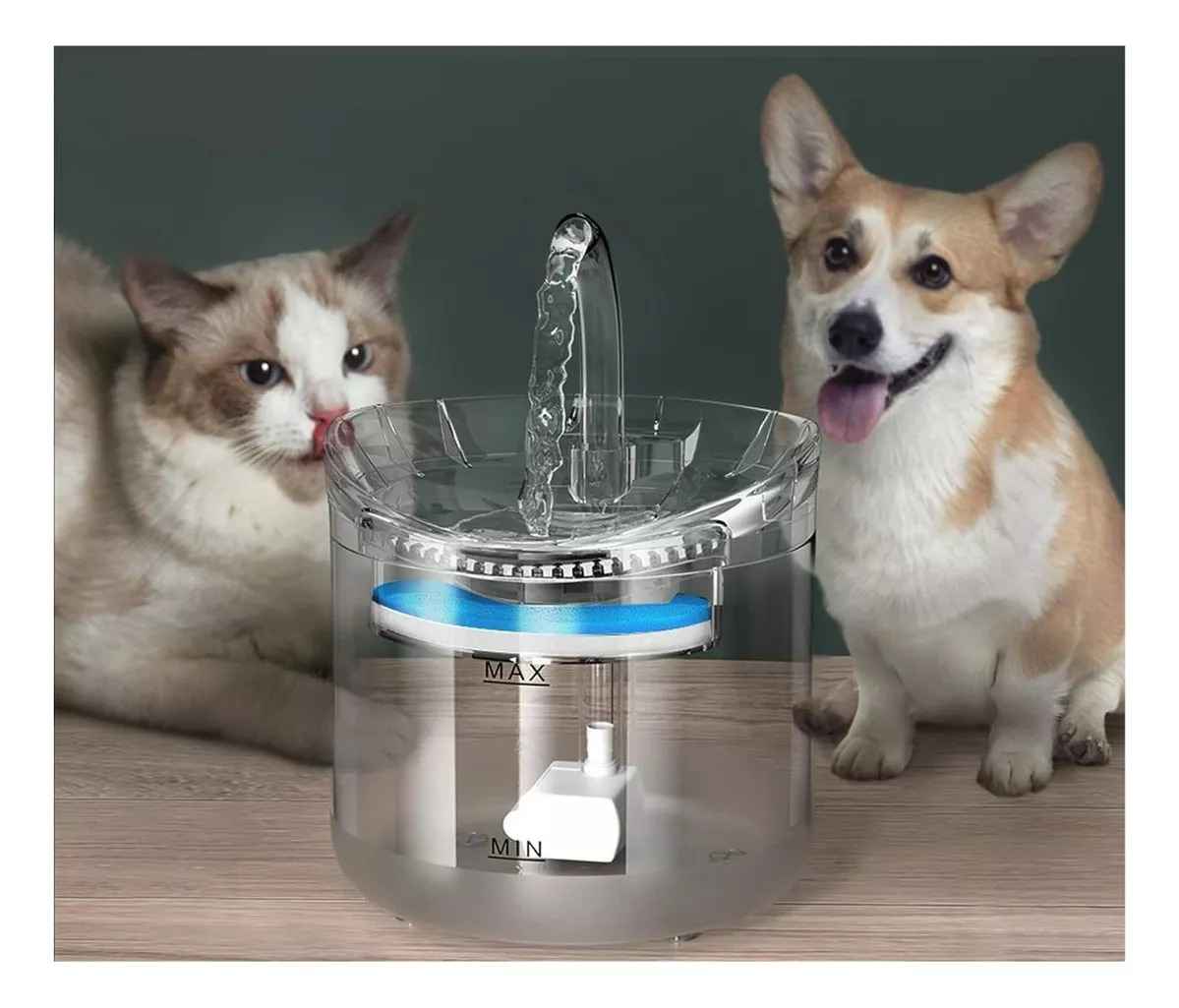 Fuente Para Gato Bebedero Para Mascotas Trasparente