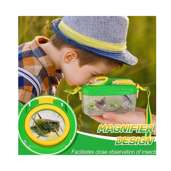 Set De Observación De Insectos Campamento