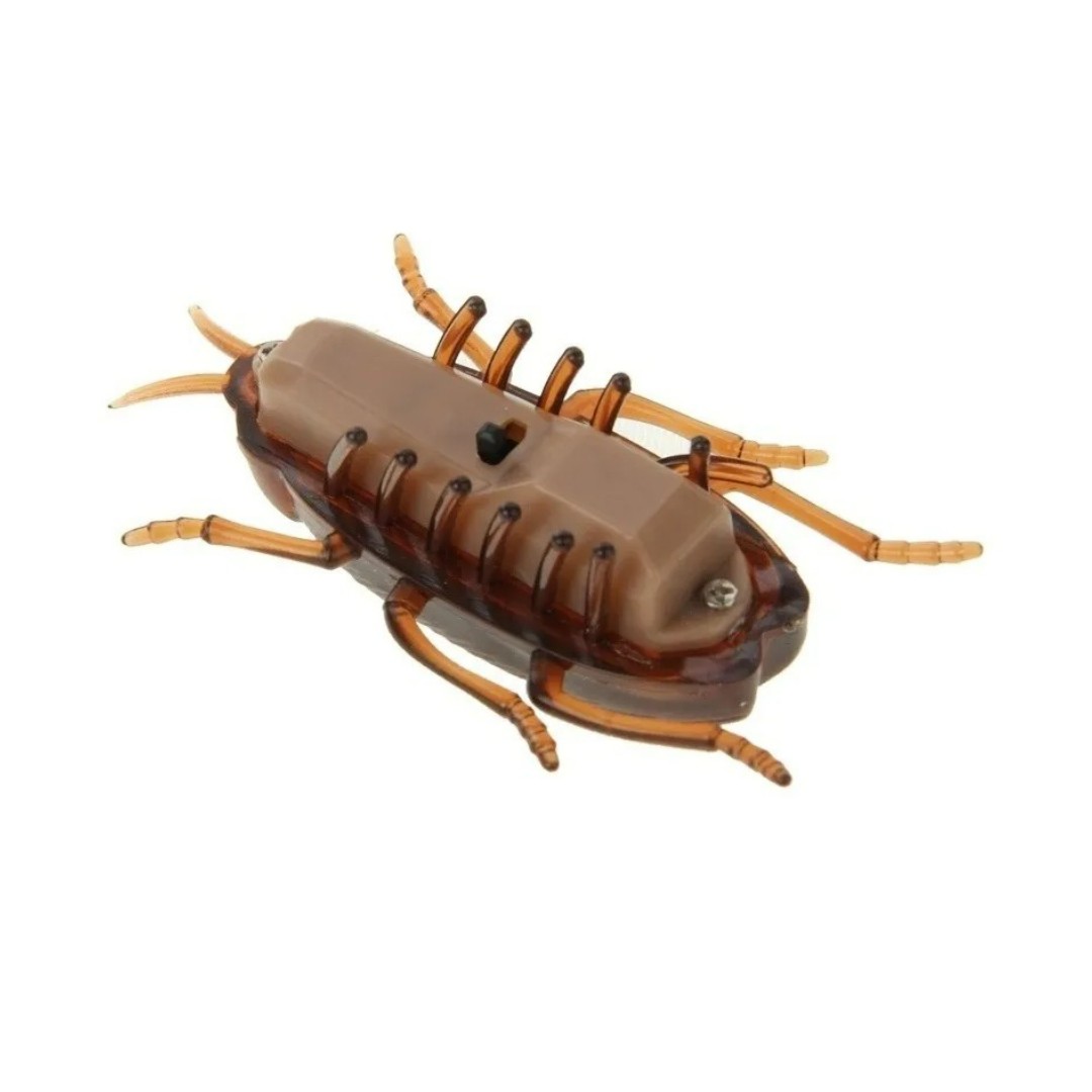 Juguete Cucaracha Eléctrica Interactiva Vibracion