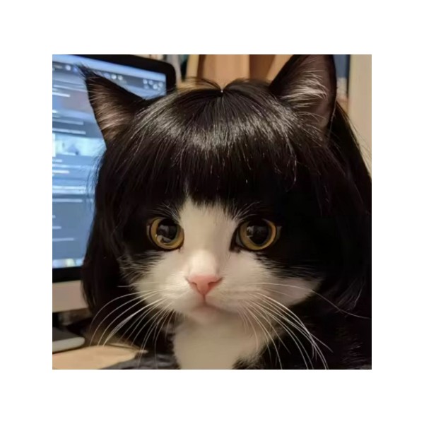 Peluca Divertida para Mascotas | Perros o Gatos con Ajuste Cómodo
