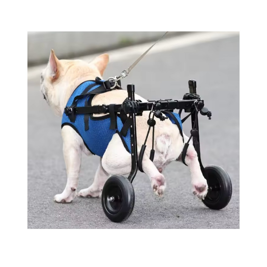 Silla De Ruedas Carrito Perro Gato Ajustable