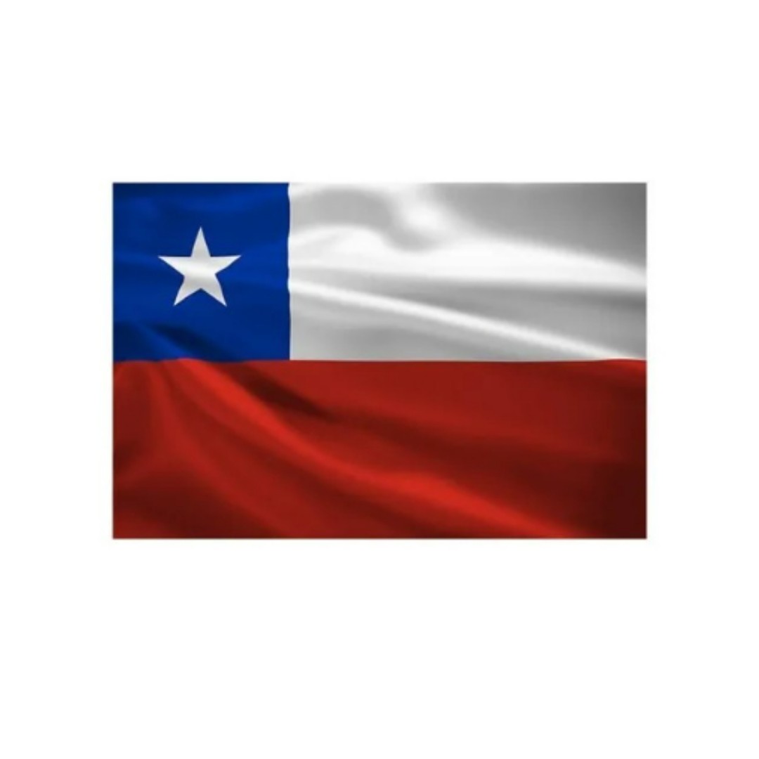 Bandera Chile Chilena Patria 120x180 Cm