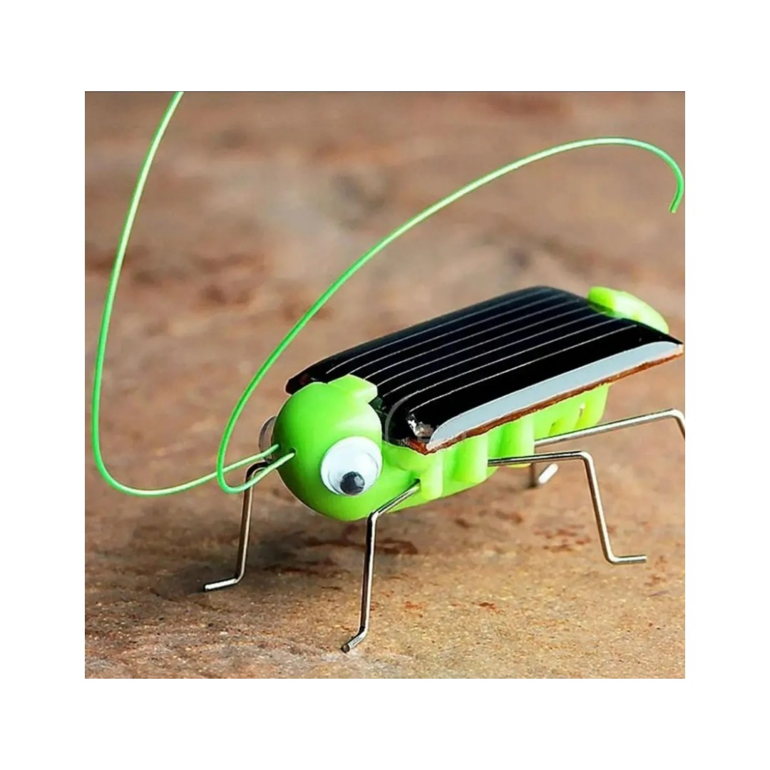 Saltamonte Solar Decorativos Mini Jardin