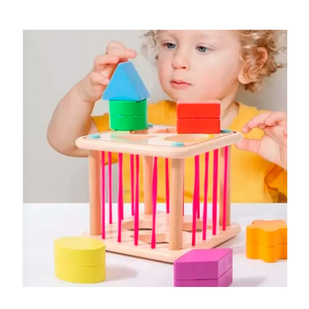 Juguete Clasificador Infantil Didáctico De Madera 3+