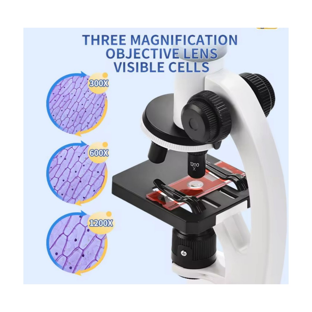 Kit Microscopio Compuesto Con Luz 300x A 1200x + Accesorios