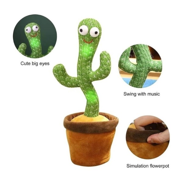 Cactus Bailarín Musical