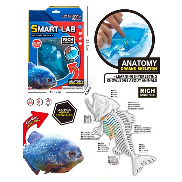 Kit Educativo de Ciencias para Niños Juego de Disección Animal