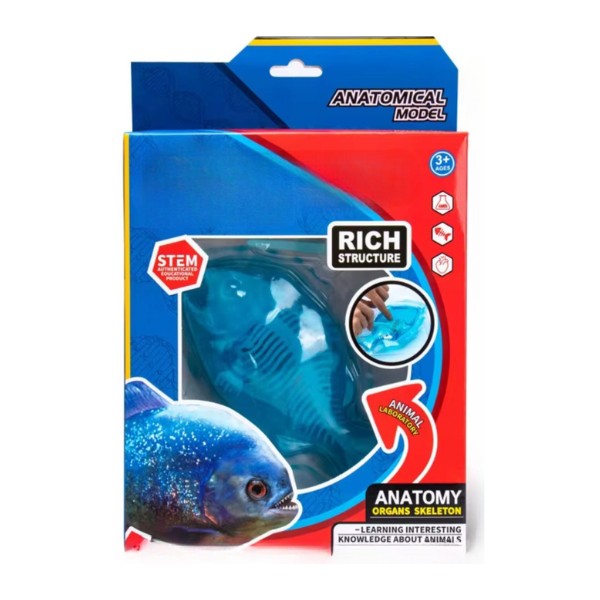 Kit Educativo de Ciencias para Niños Juego de Disección Animal