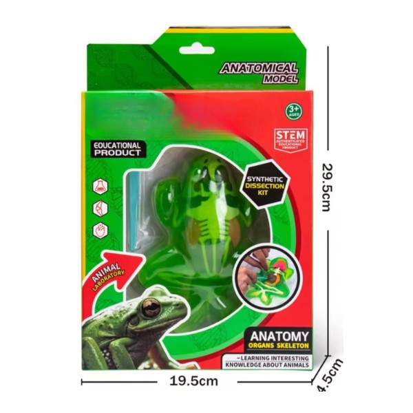 Kit Educativo de Ciencias para Niños Juego de Disección Animal