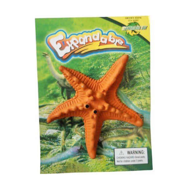 Set Animales Para El Agua Amigos Marinos crecencios