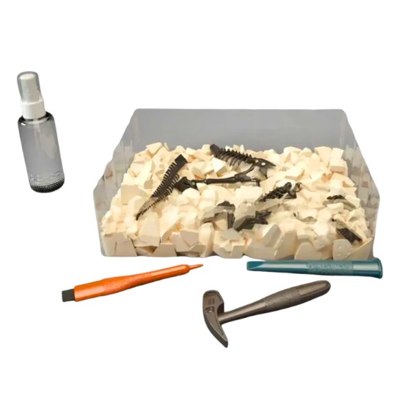 Juego De Excavación Con Herramientas Juguete Educativo