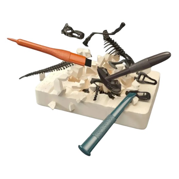 Juego De Excavación Con Herramientas Juguete Educativo