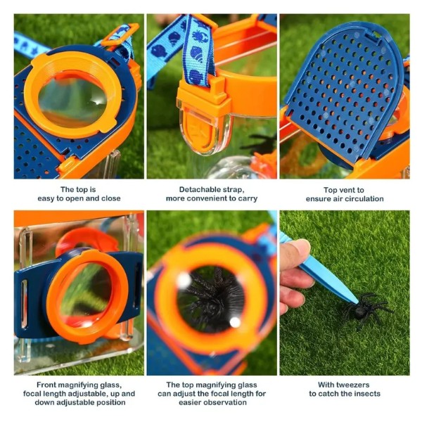 Caja De Vigilancia De Insectos Observador Para Niños
