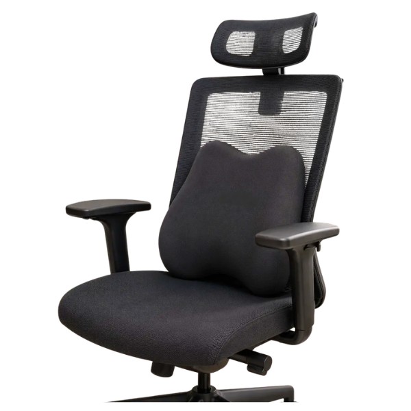 Cojín Lumbar Ergonómico Viscoelastico Oficina Auto Silla