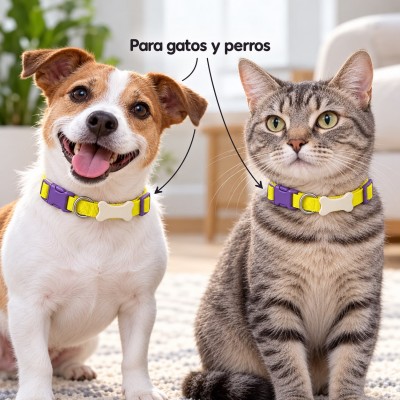 Collar Ajustable Perro Gato  Broche Argolla Hueso