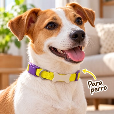 Collar Ajustable Perro Gato  Broche Argolla Hueso