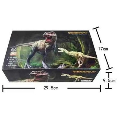 Esqueletos Dinosaurios Educativo Niños