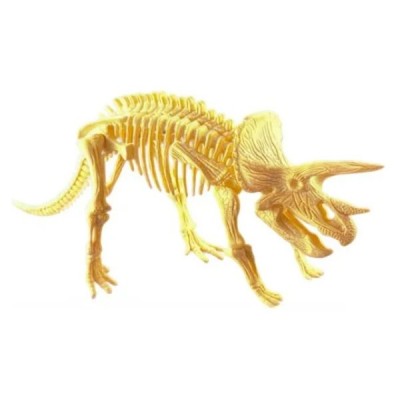 Esqueletos Dinosaurios Educativo Niños